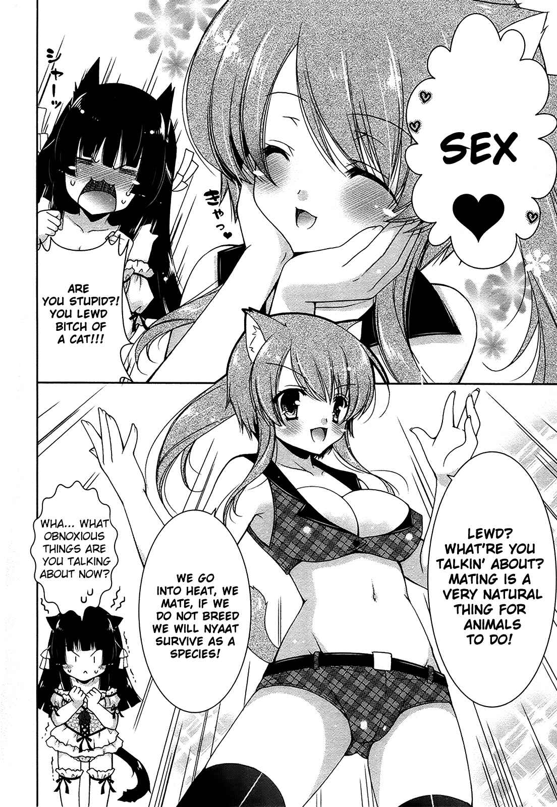 Page 14 Chapter 12 Nyatto!