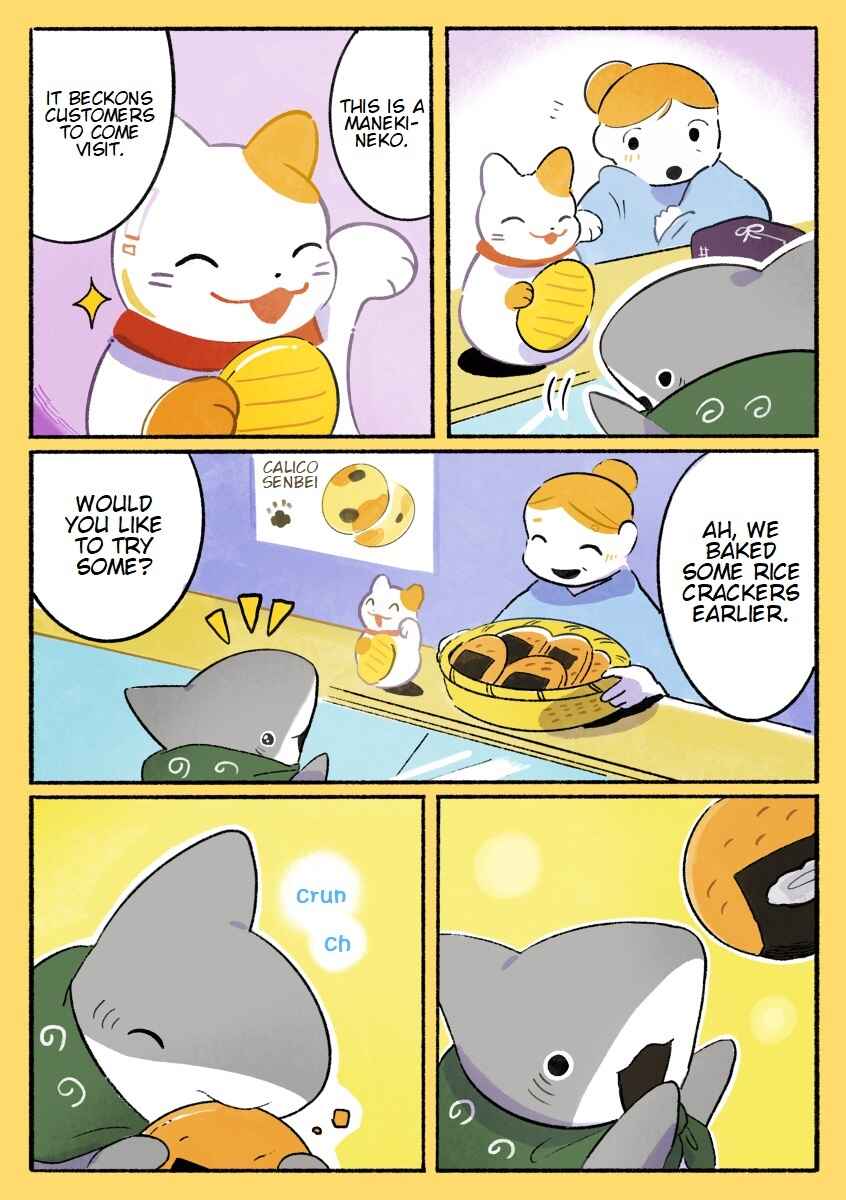 Page 2 Chapter 44 Little Sharks Outings
