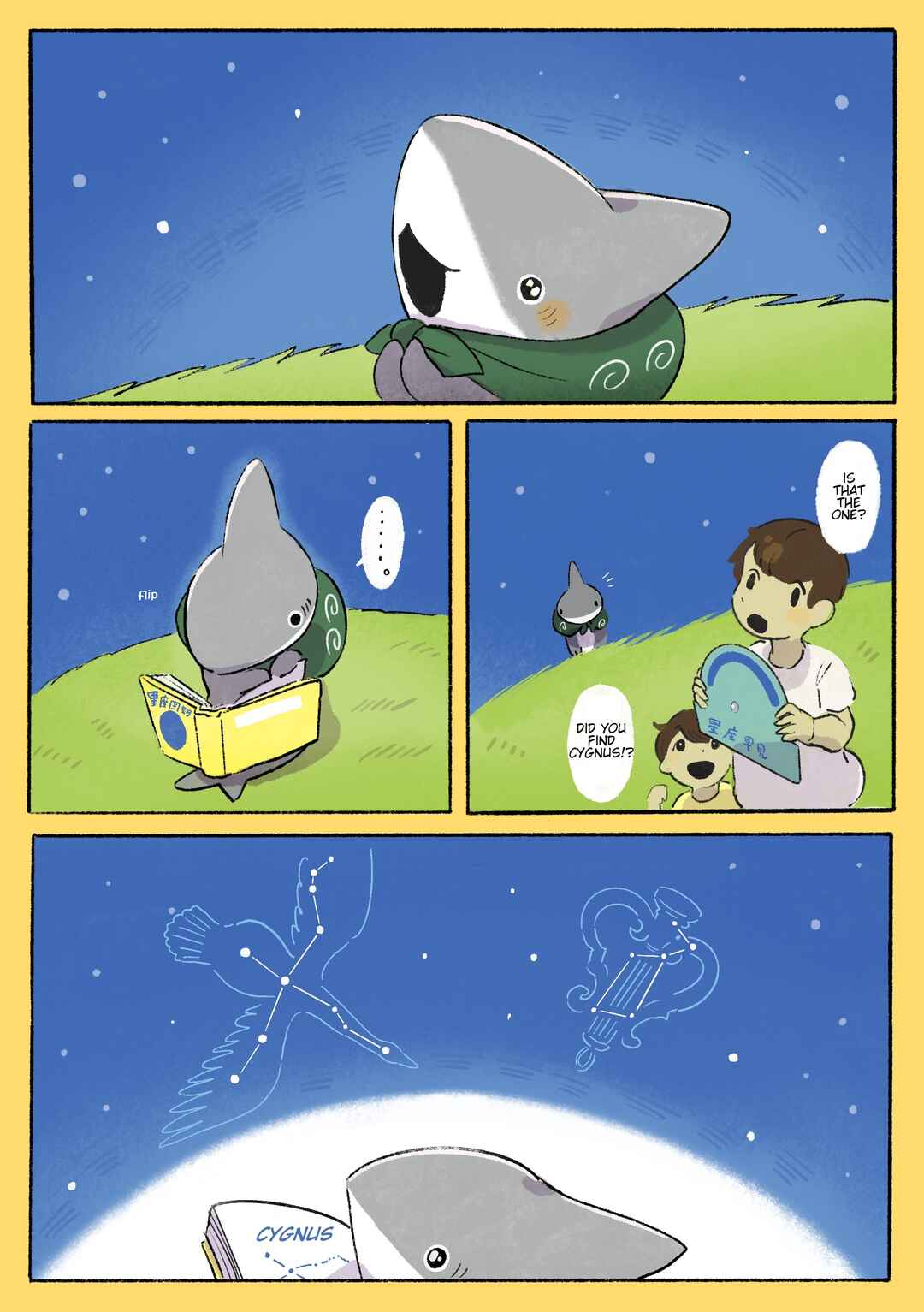 Page 3 Chapter 9 Little Sharks Outings
