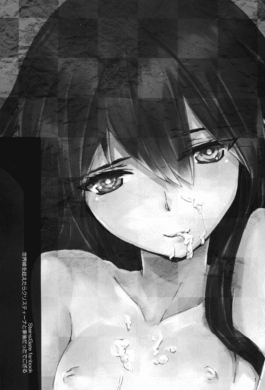 Page 2 Chapter Unknown_24cc Steins;Gate - Sekaisen o Koetara Christina to Jigo datta degozaru (Doujinshi)