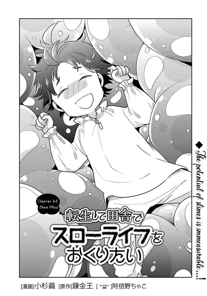 Page 2 Chapter 65 Tensei Shite Inaka de Slow Life wo Okuritai