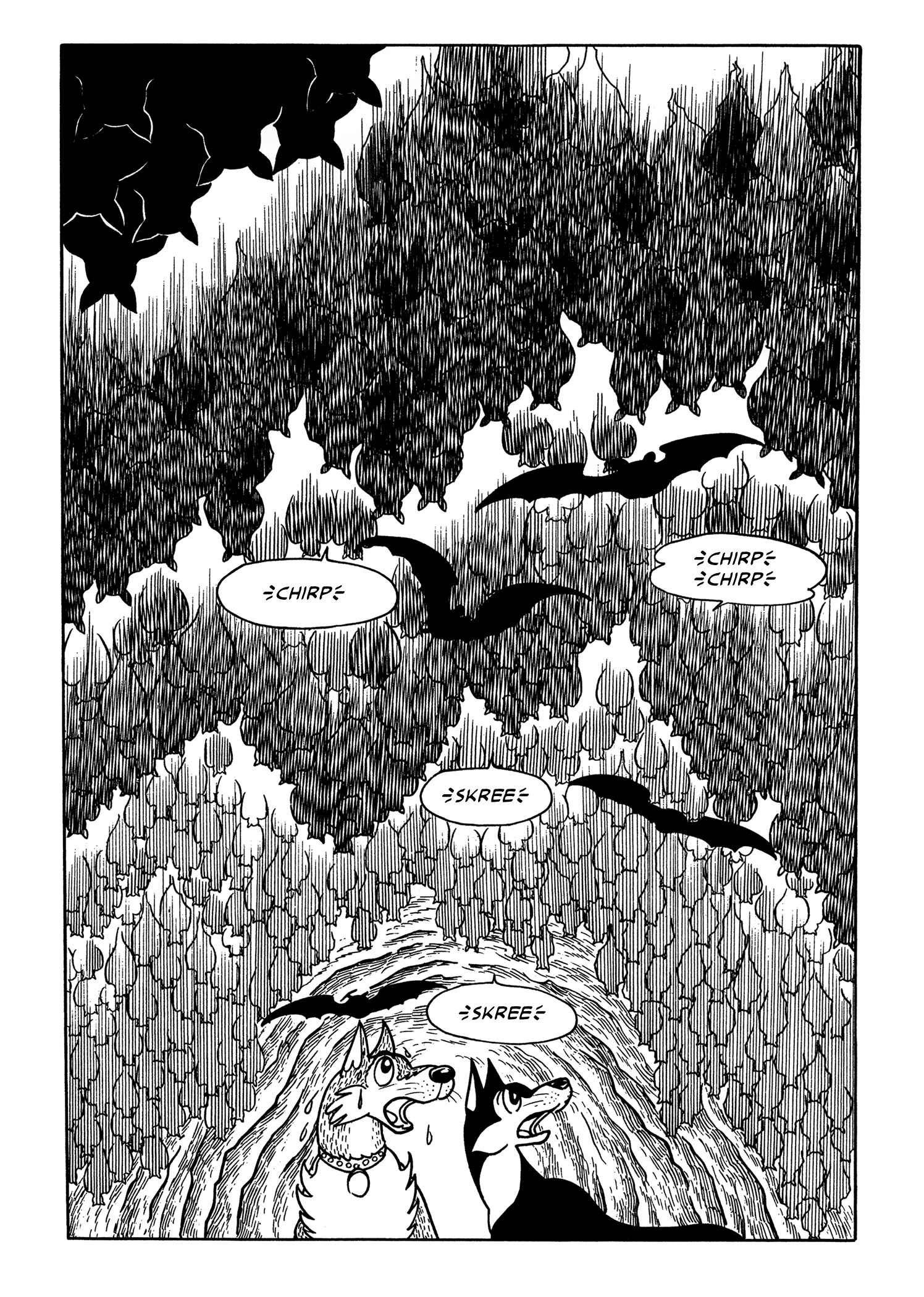 Page 19 Chapter 2 Flying Ben