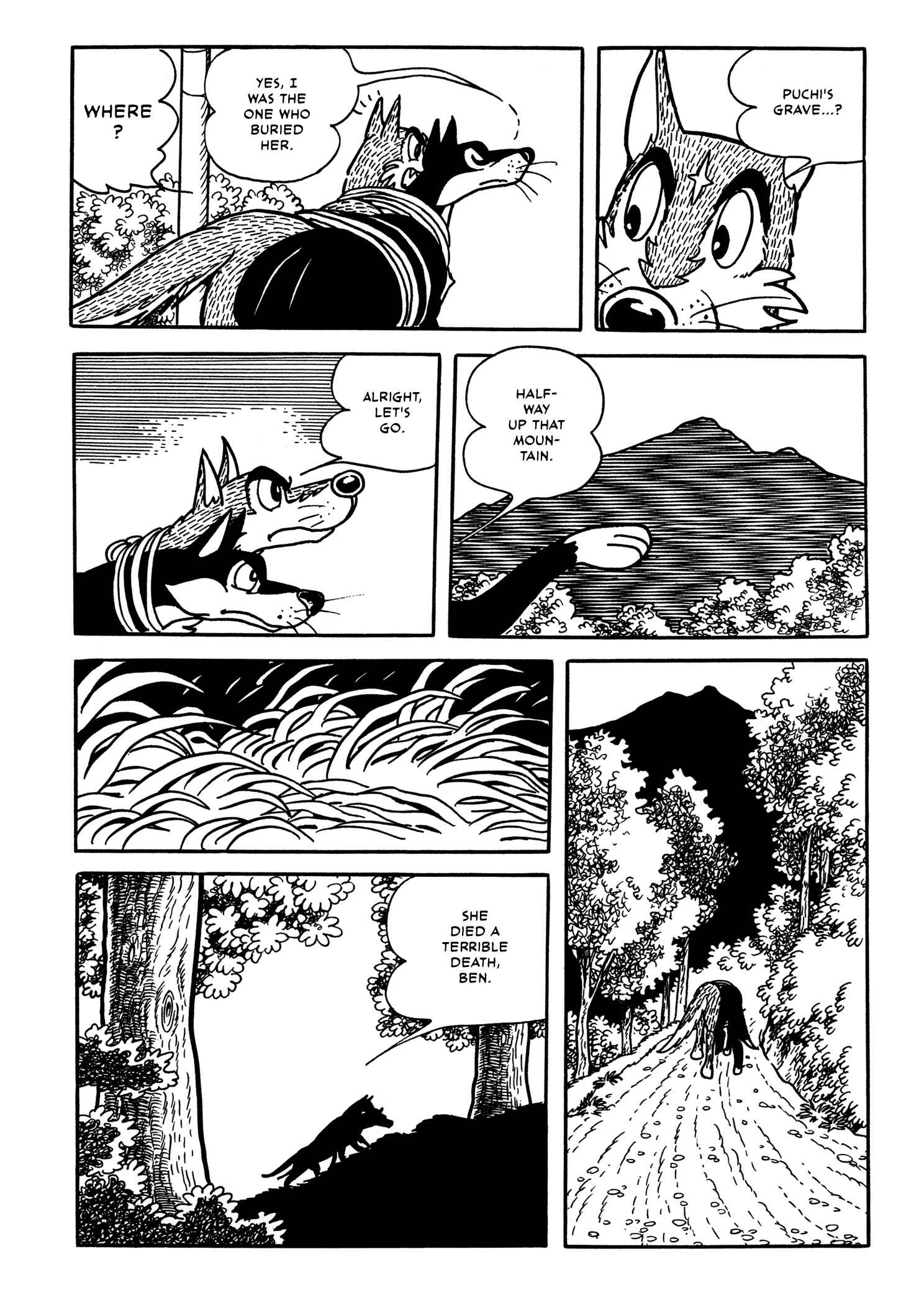 Page 28 Chapter 5 Flying Ben