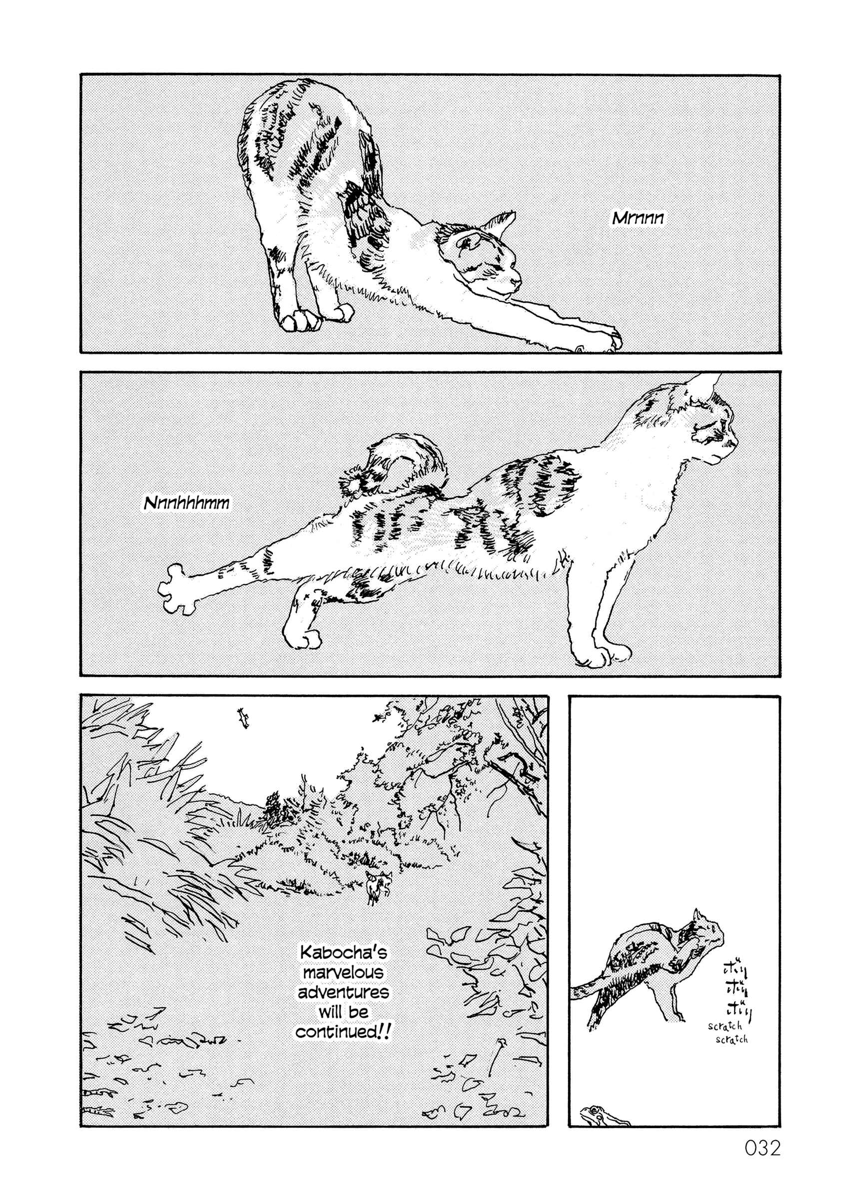 Page 8 Chapter 4 Kabochas Adventure