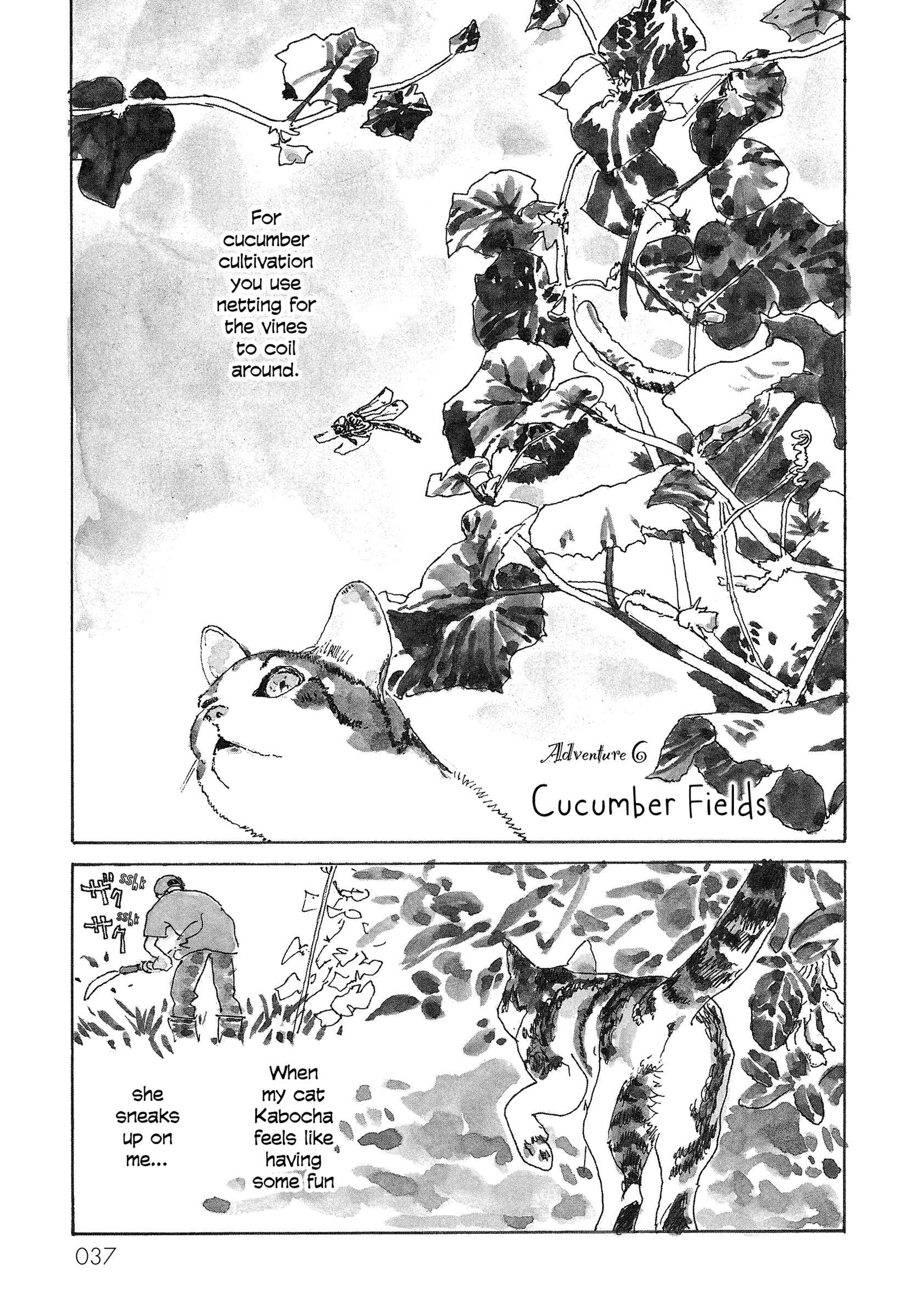 Page 1 Chapter 6 Kabochas Adventure