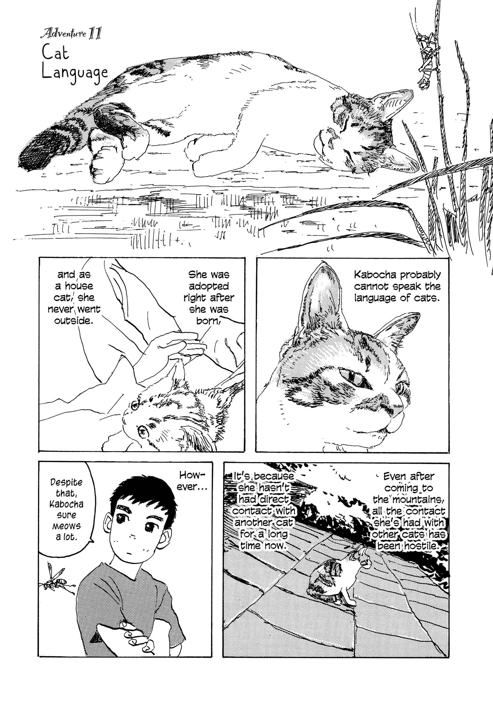 Page 1 Chapter 11 Kabochas Adventure