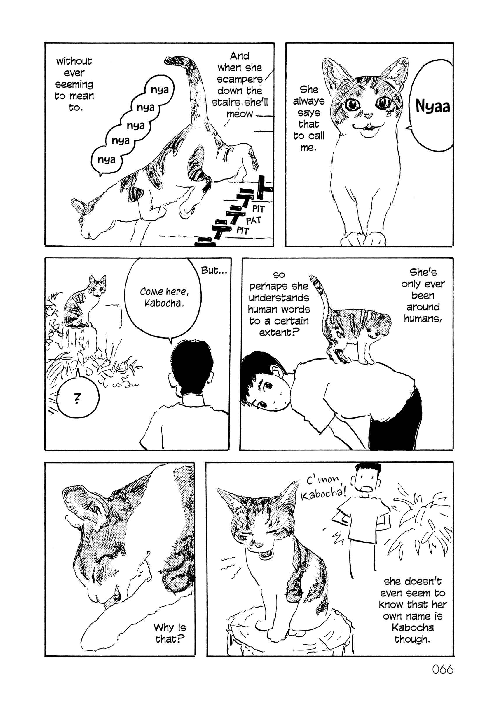 Page 2 Chapter 11 Kabochas Adventure