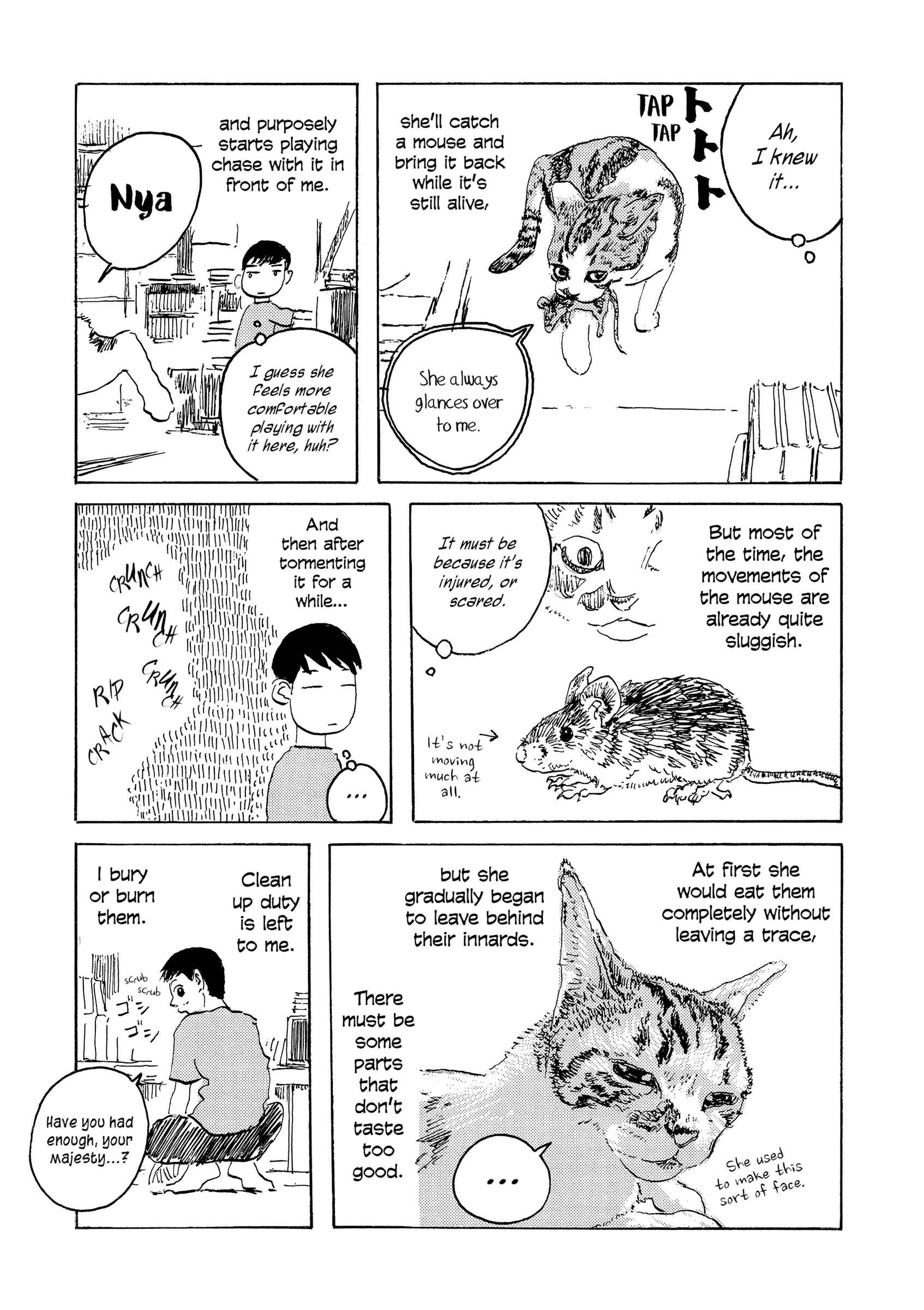 Page 3 Chapter 9 Kabochas Adventure