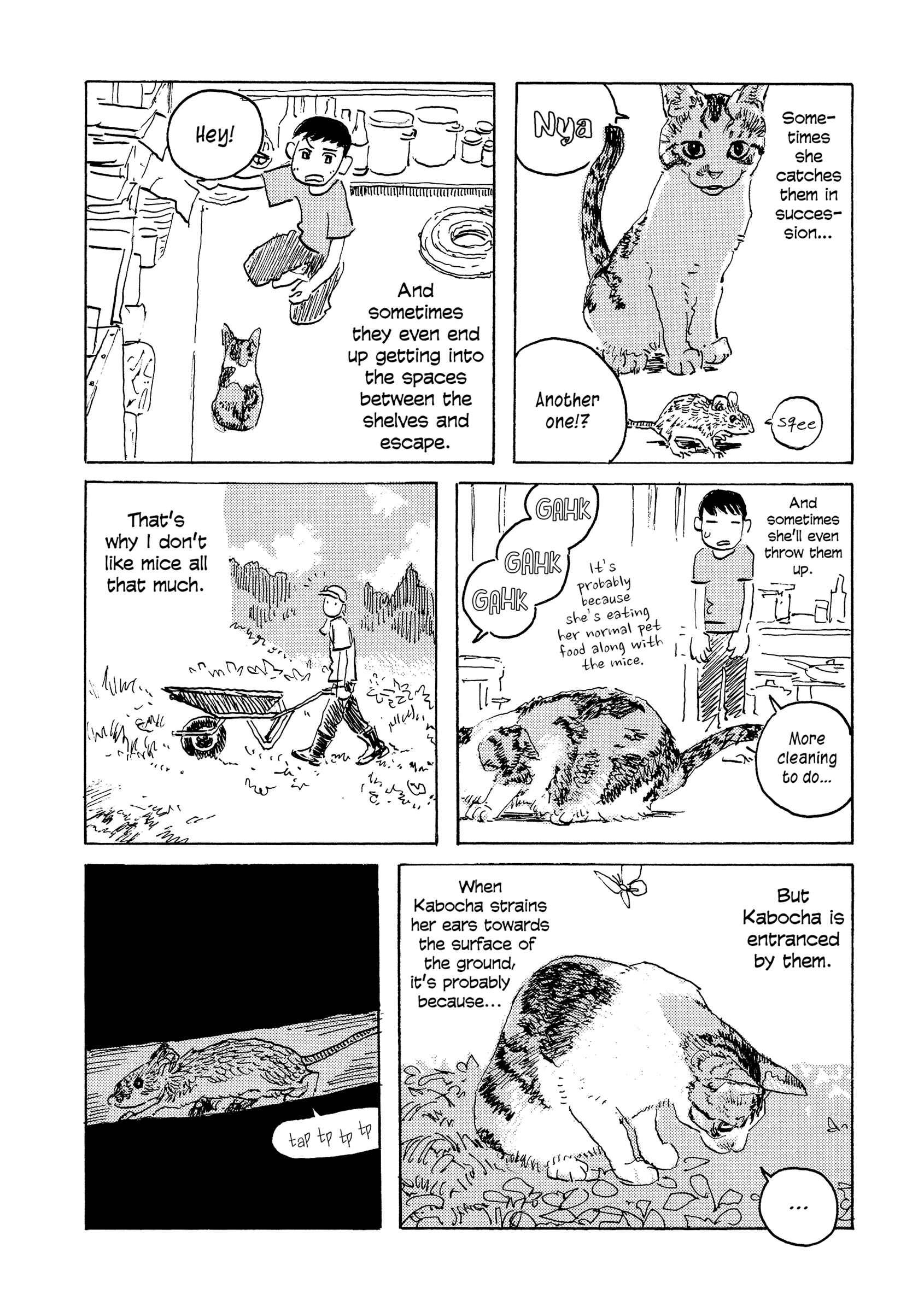 Page 4 Chapter 9 Kabochas Adventure