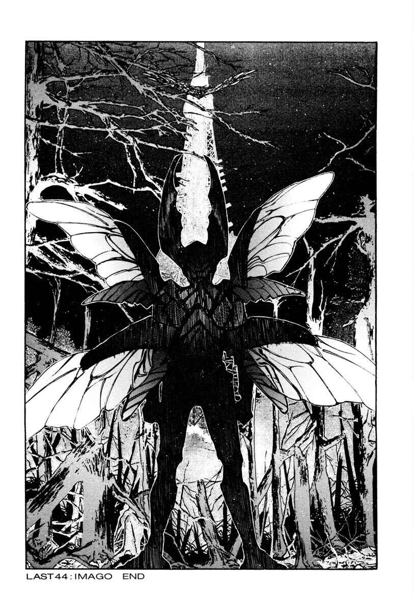 Page 14 Chapter 57 THE LAST MAN