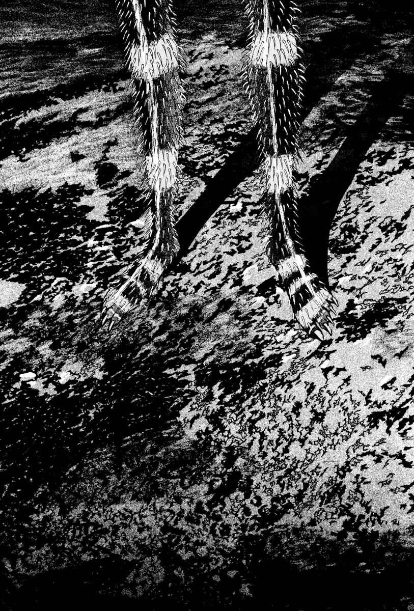 Page 5 Chapter 24 THE LAST MAN