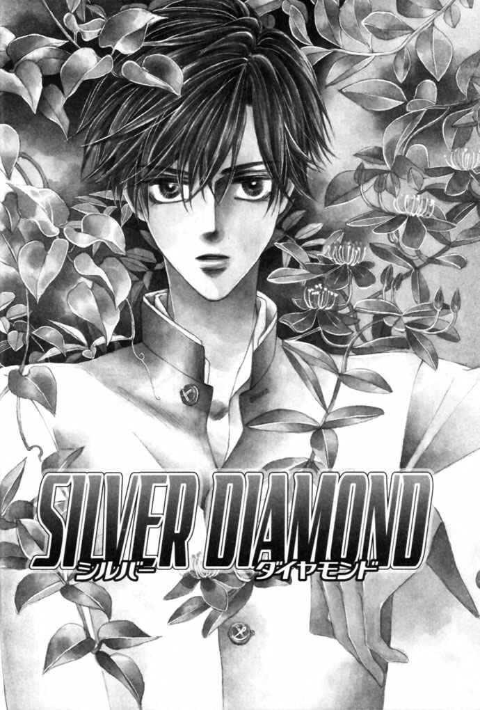 Page 7 Chapter 13 Silver Diamond