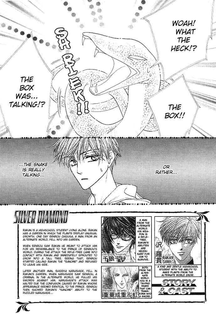 Page 2 Chapter 3 Silver Diamond