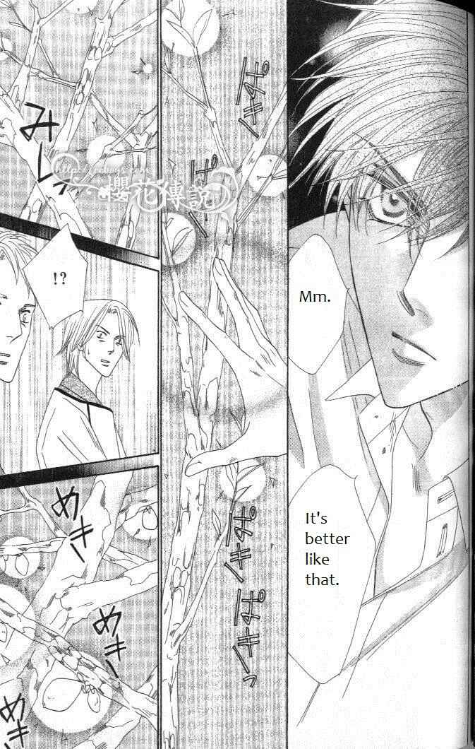 Page 19 Chapter 29 Silver Diamond