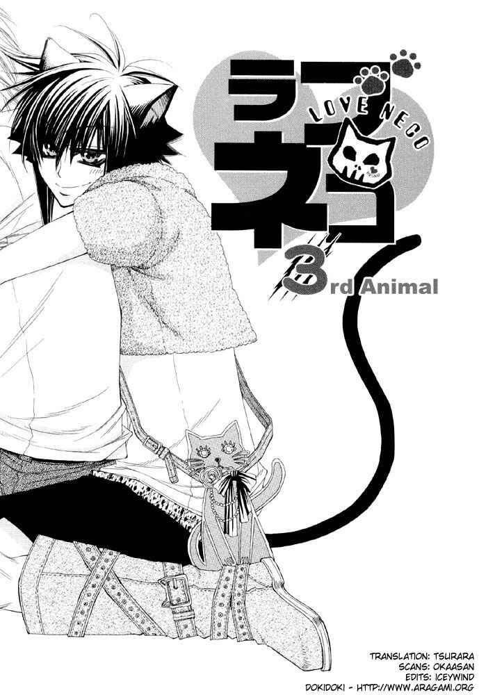 Page 3 Chapter 3 Love Neko