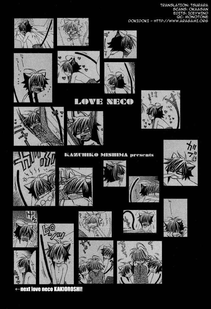Page 3 Chapter 6 Love Neko