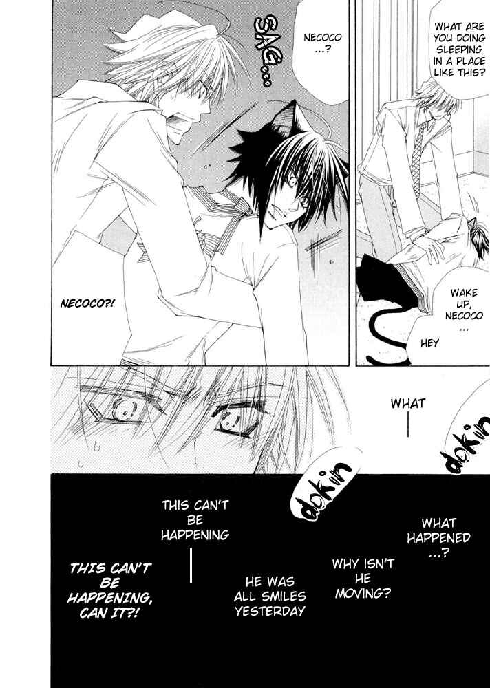 Page 22 Chapter 4 Love Neko