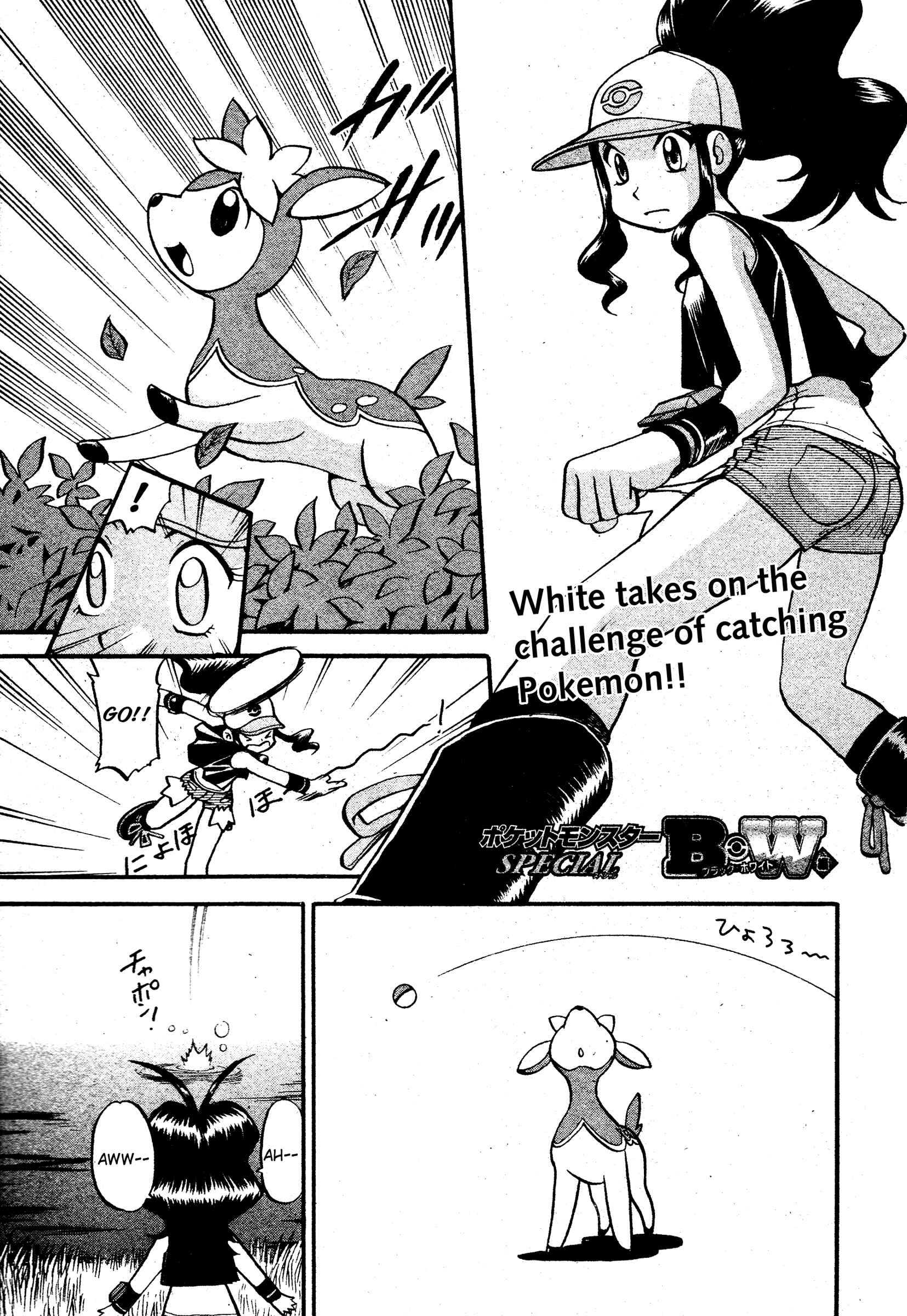 Page 1 Chapter 488 Pokémon SPECIAL