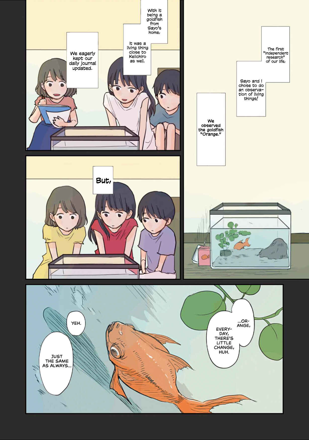 Page 12 Chapter 11 Sore wa, Kimi ga Mita Ao Datta