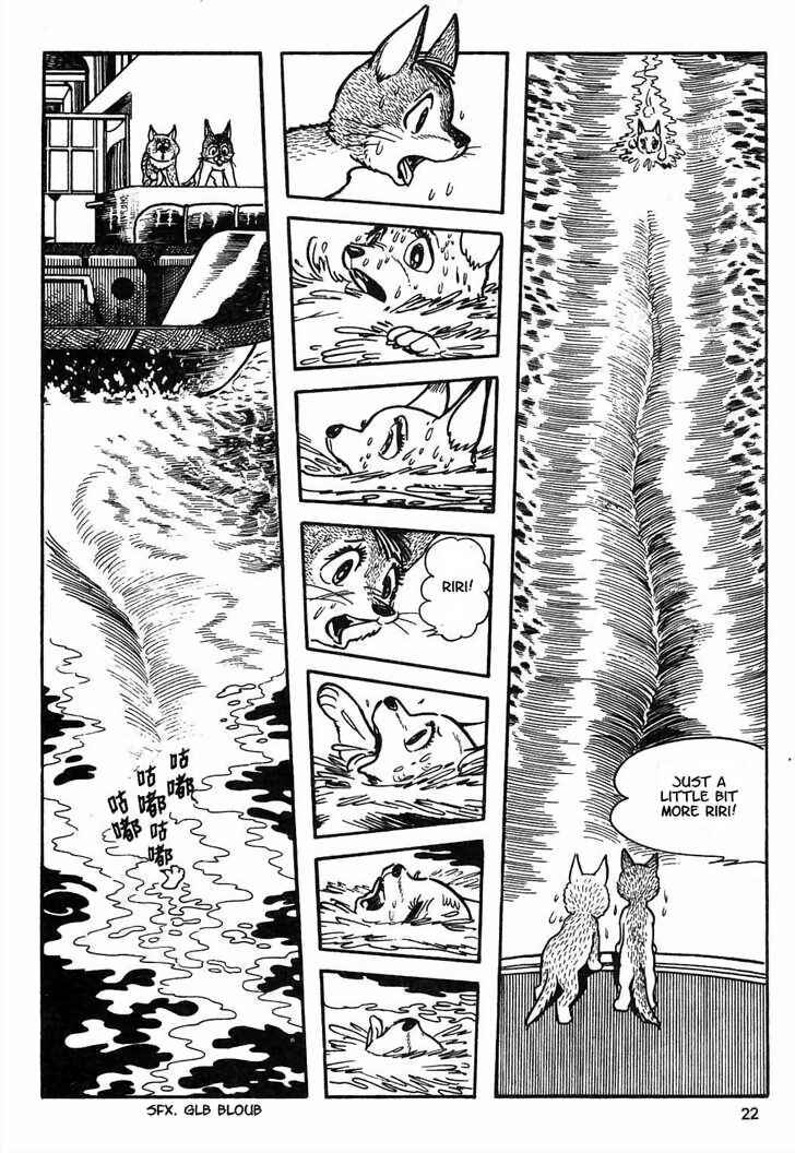 Page 22 Chapter 8.1 Tiger Books