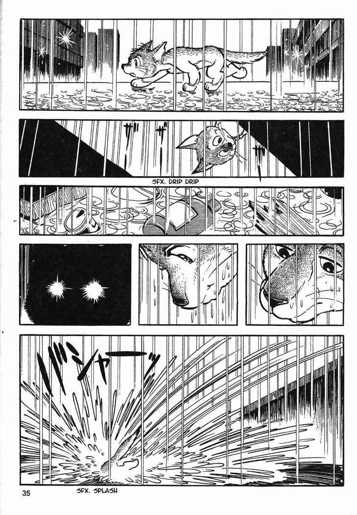 Page 12 Chapter 8.2 Tiger Books
