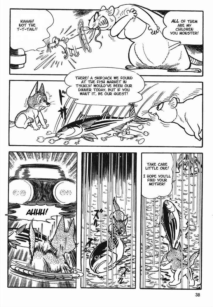 Page 15 Chapter 8.2 Tiger Books