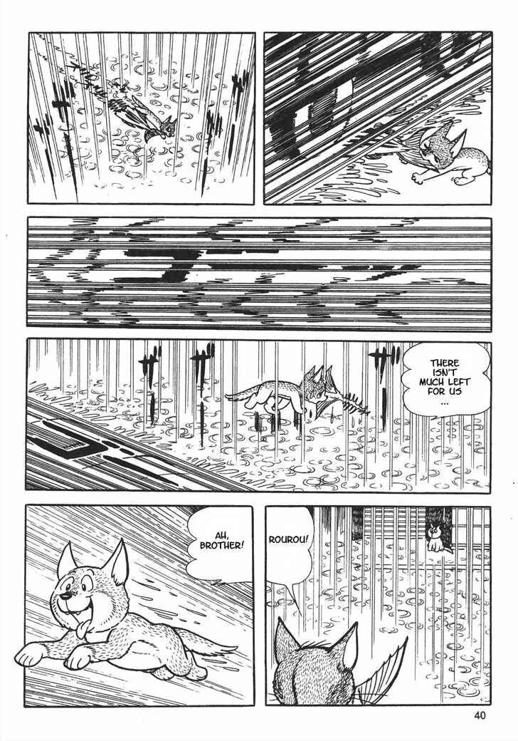Page 17 Chapter 8.2 Tiger Books