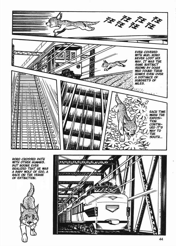 Page 21 Chapter 8.2 Tiger Books