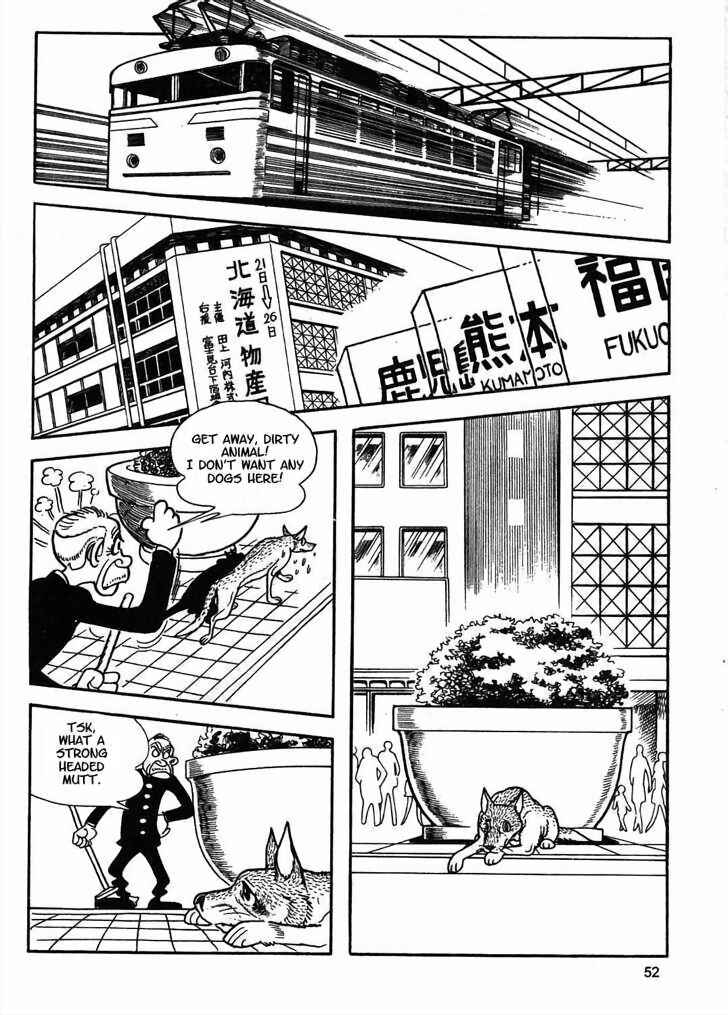Page 29 Chapter 8.2 Tiger Books