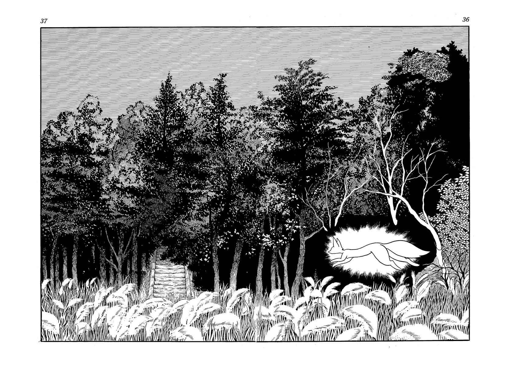 Page 16 Chapter 1 Tiger Books