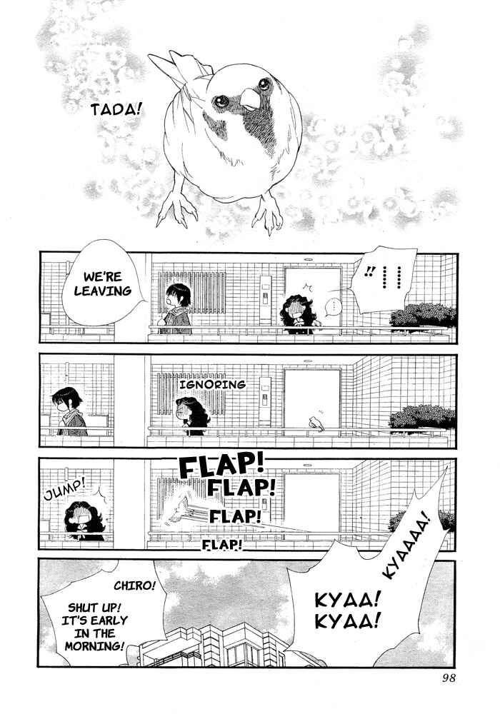Page 43 Chapter 8 Orange Chocolate