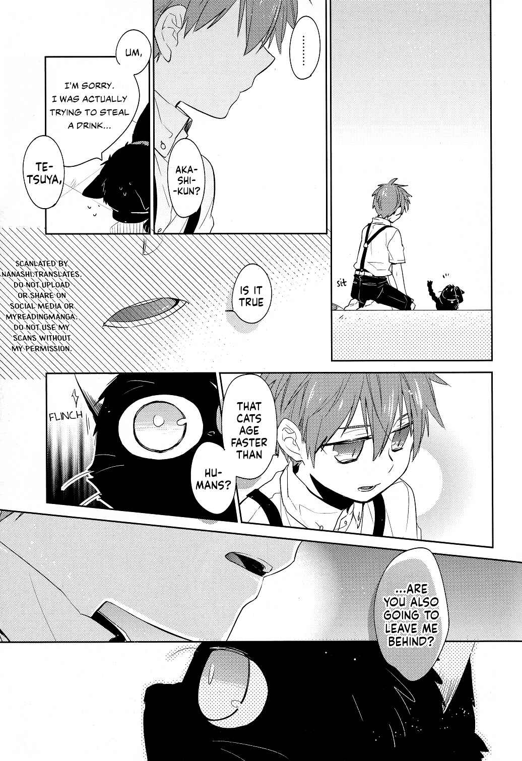 Page 13 Chapter Unknown_ab46 Kuroko no Basket - Aru Shounen to Neko no Tenmatsu (Doujinshi)