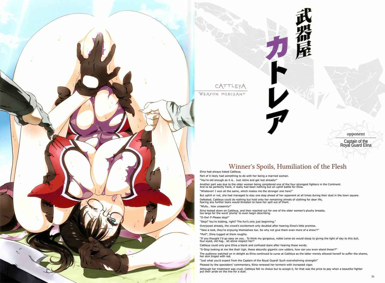 Page 34 Chapter 1 Queens Blade - Vanquished Queens (Visual Book)