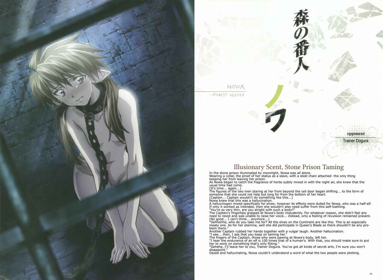 Page 17 Chapter 1 Queens Blade - Vanquished Queens (Visual Book)