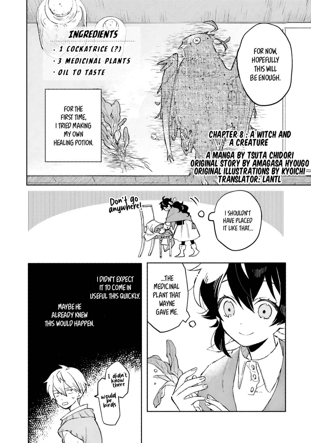 Page 3 Chapter 8 Akatsuki no Majo Reishii wa Jiyuu ni Ikitai