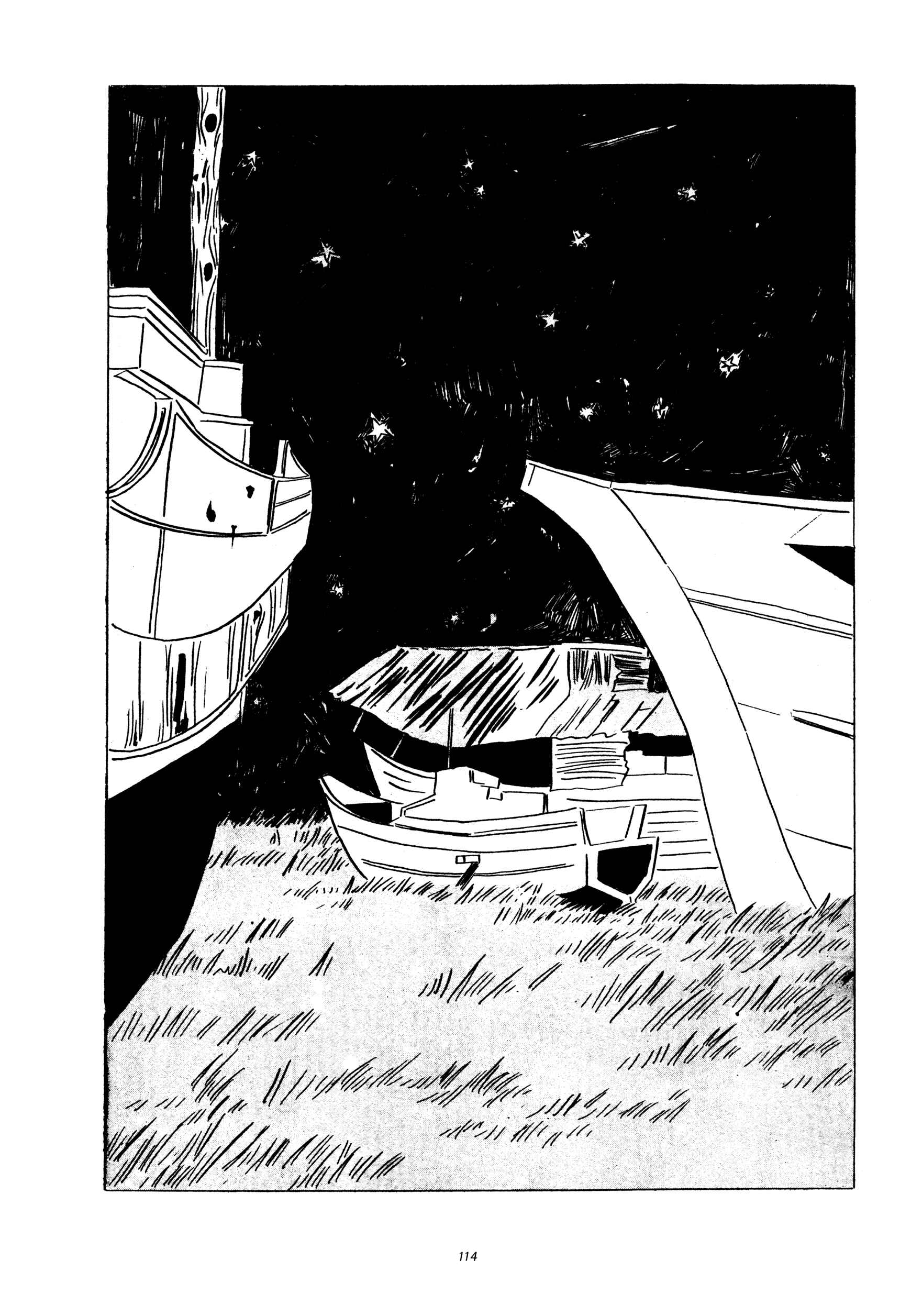 Page 21 Chapter 4 Gold Pollen
