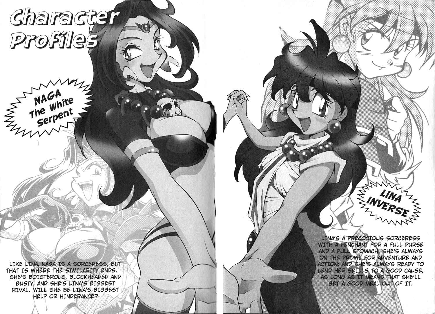 Page 5 Chapter 15 Slayers Special