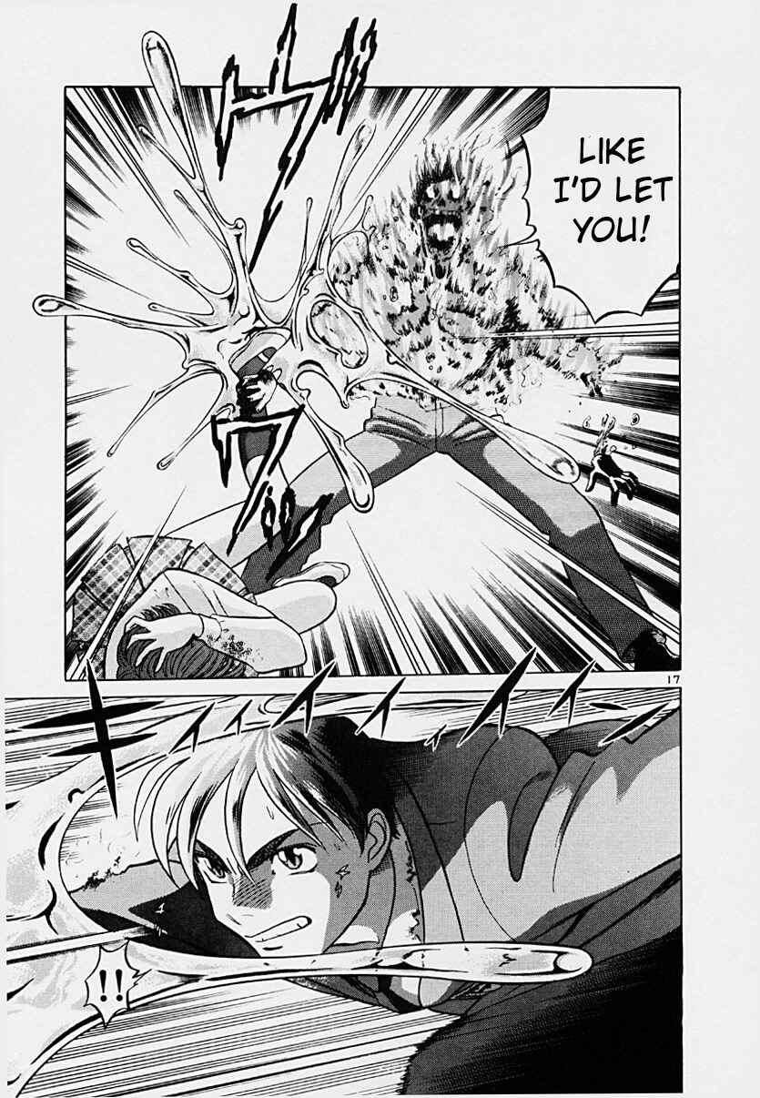 Page 17 Chapter 37 Birdy the Mighty (II)