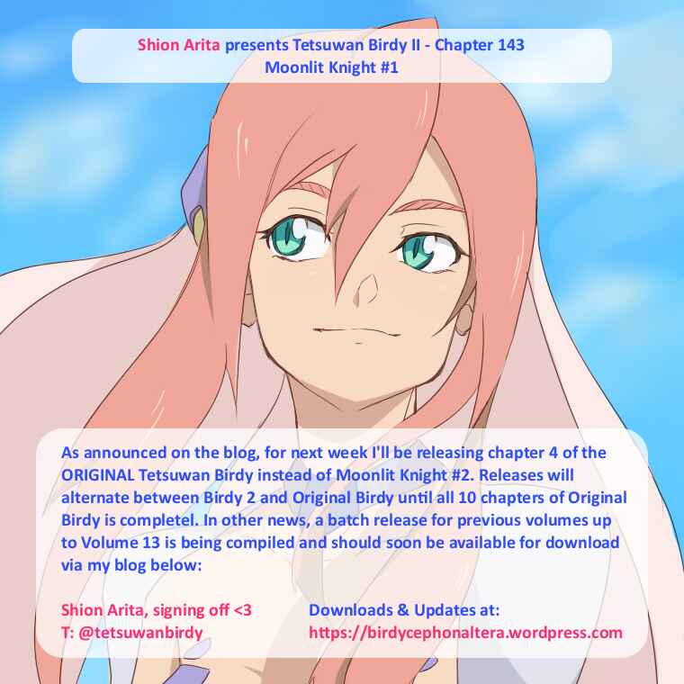 Page 25 Chapter 143 Birdy the Mighty (II)