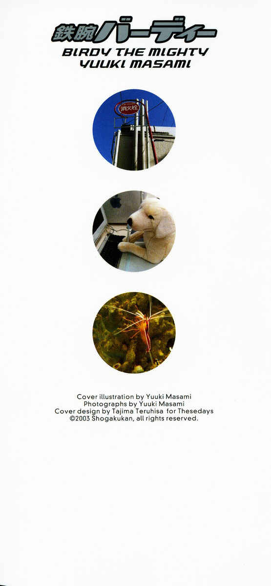 Page 2 Chapter 11 Birdy the Mighty (II)
