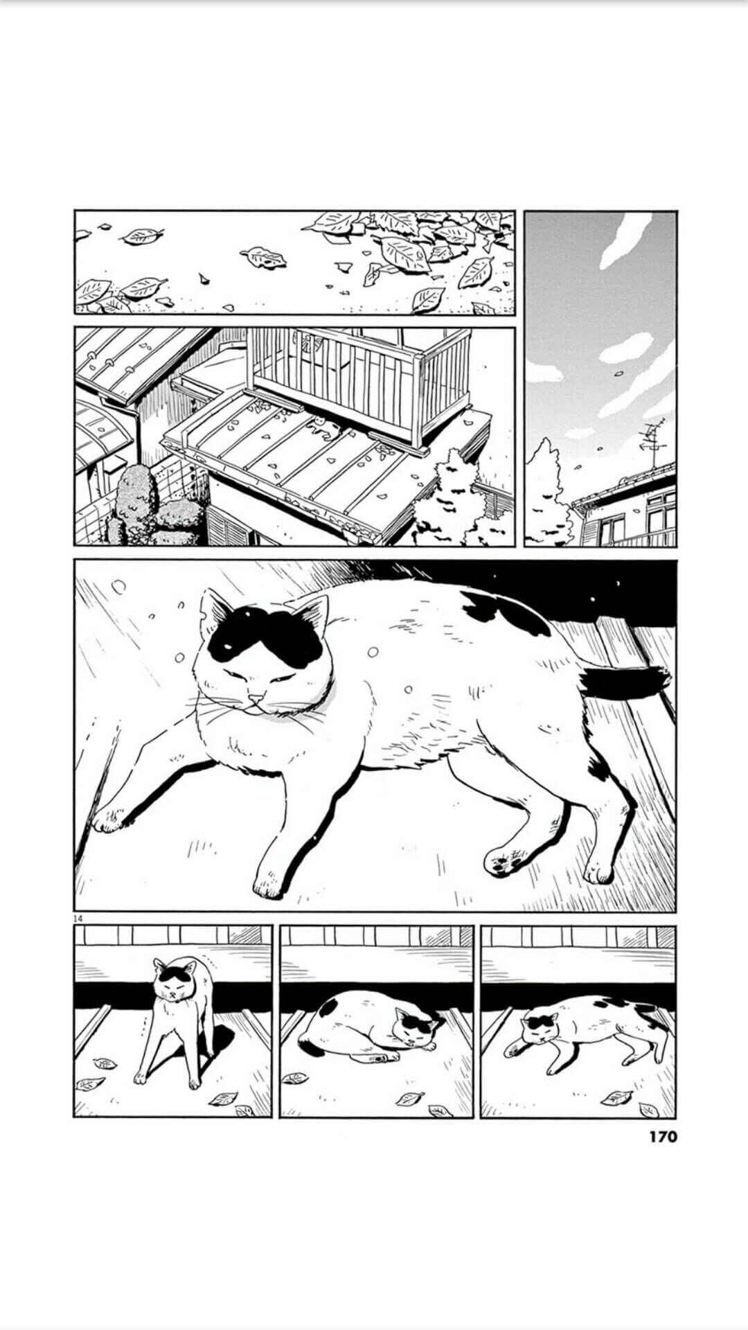 Page 14 Chapter 7 Holiday Junction