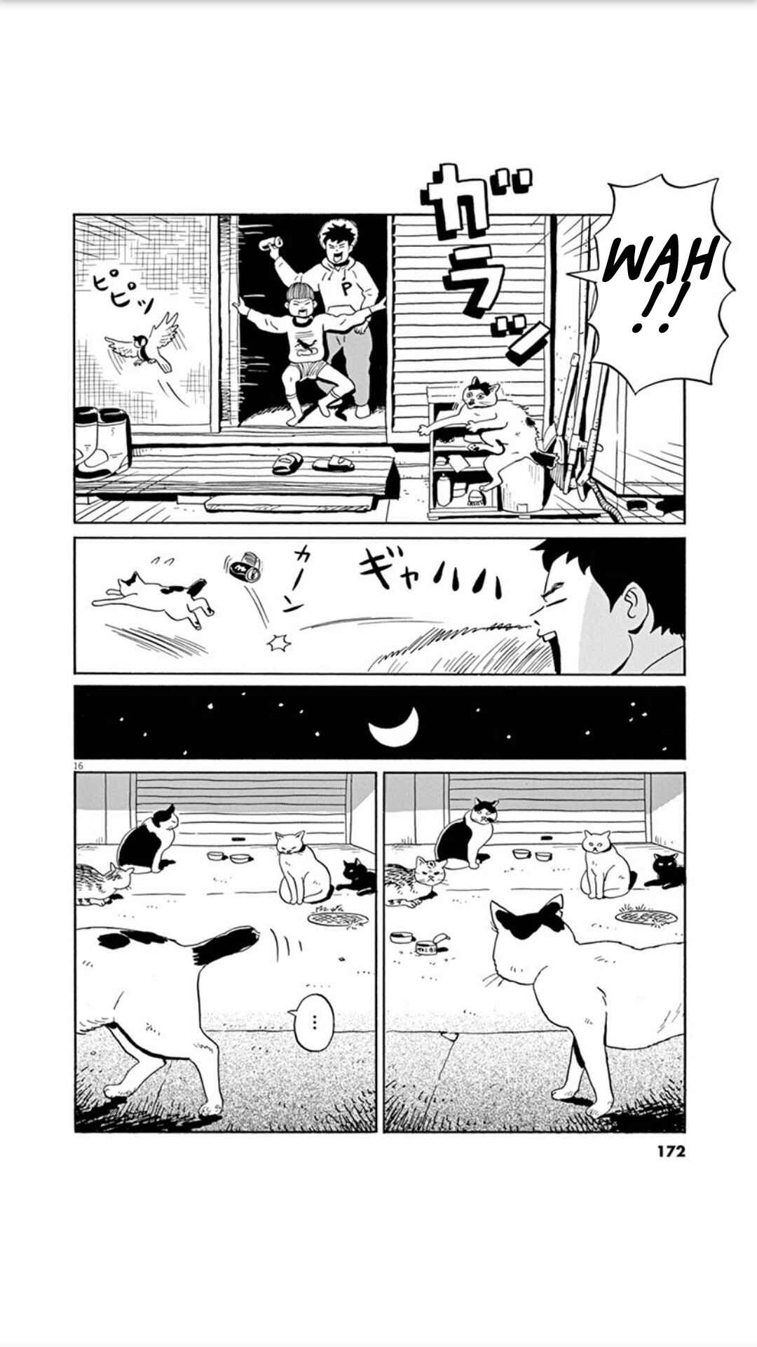 Page 16 Chapter 7 Holiday Junction