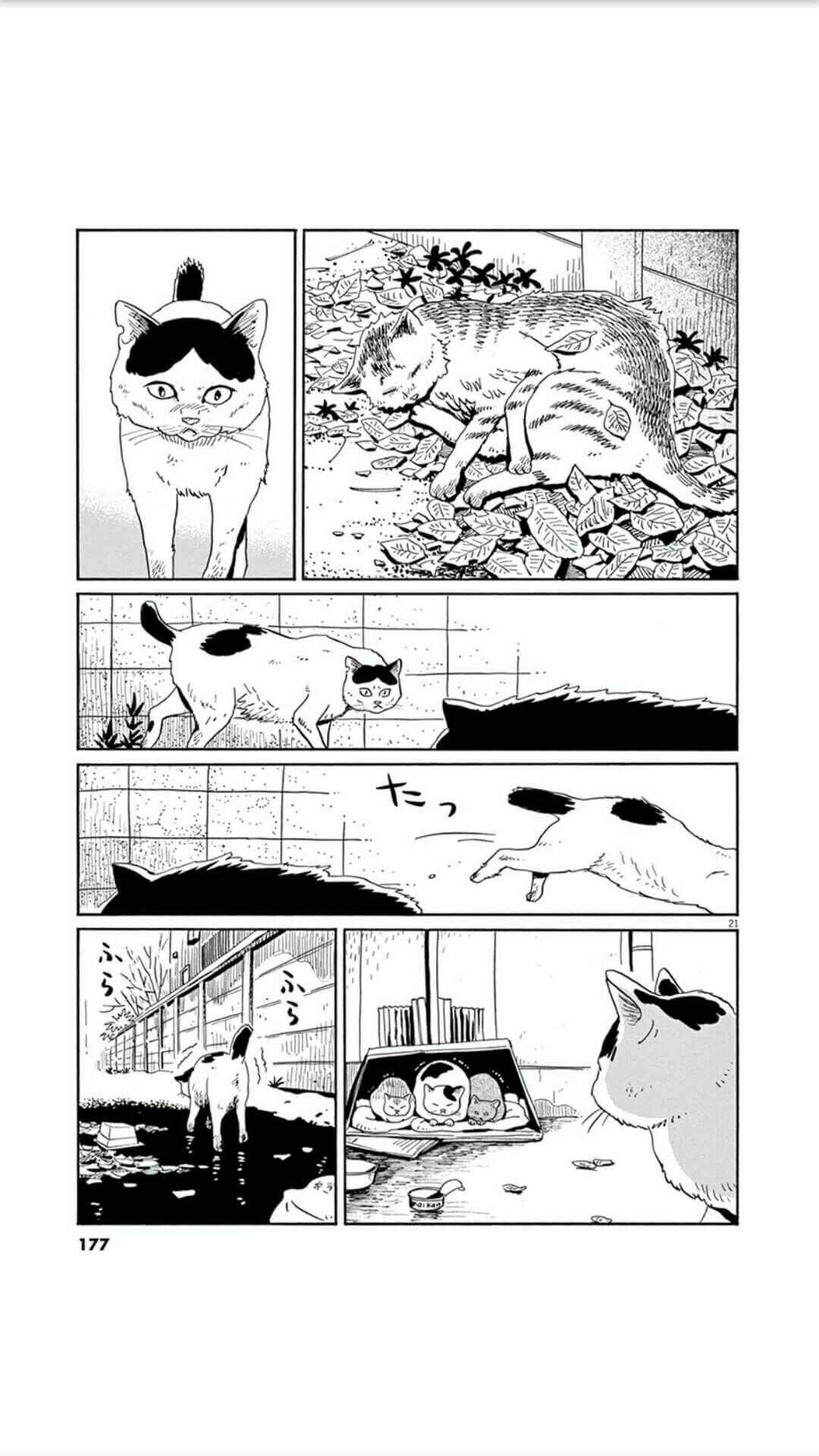 Page 21 Chapter 7 Holiday Junction