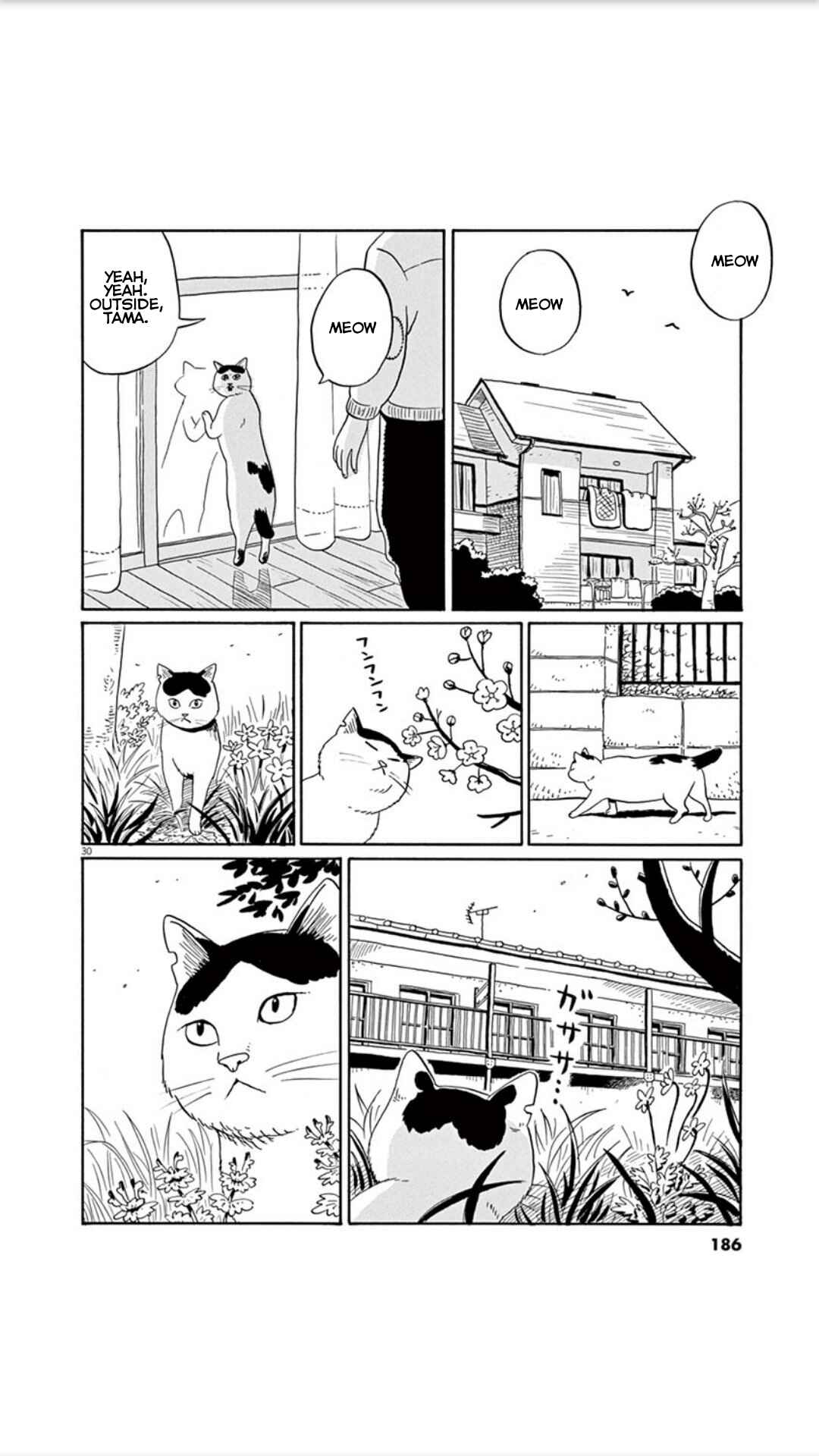 Page 30 Chapter 7 Holiday Junction