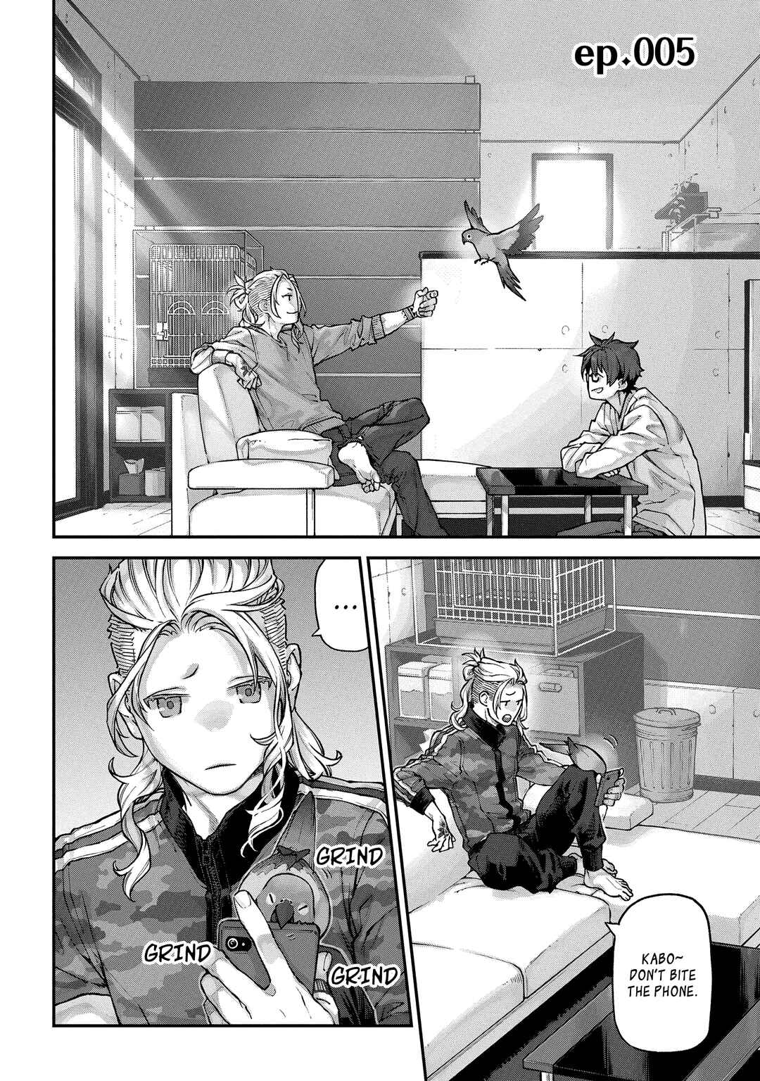 Page 2 Chapter 5 Birds Junkies