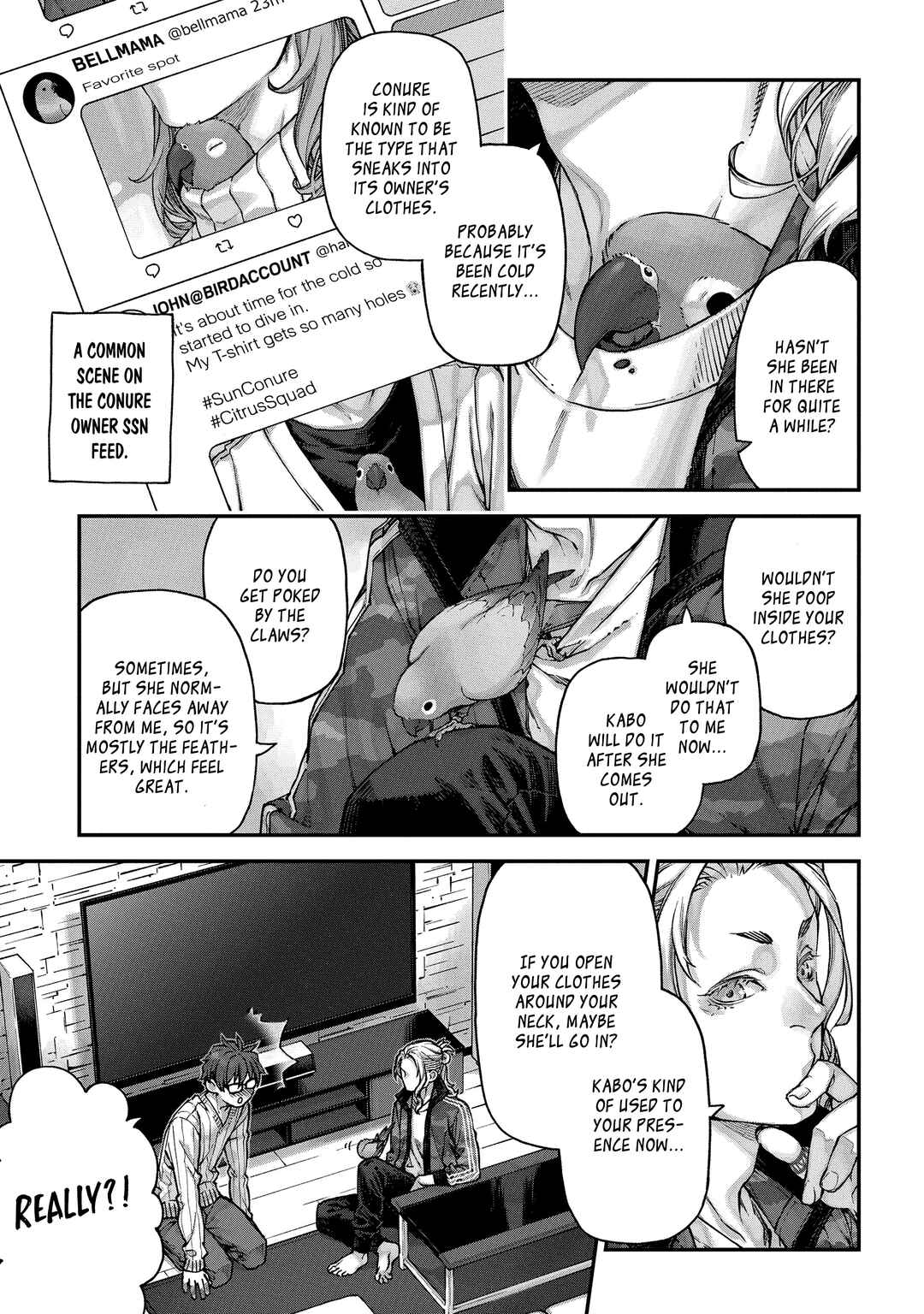 Page 3 Chapter 3 Birds Junkies