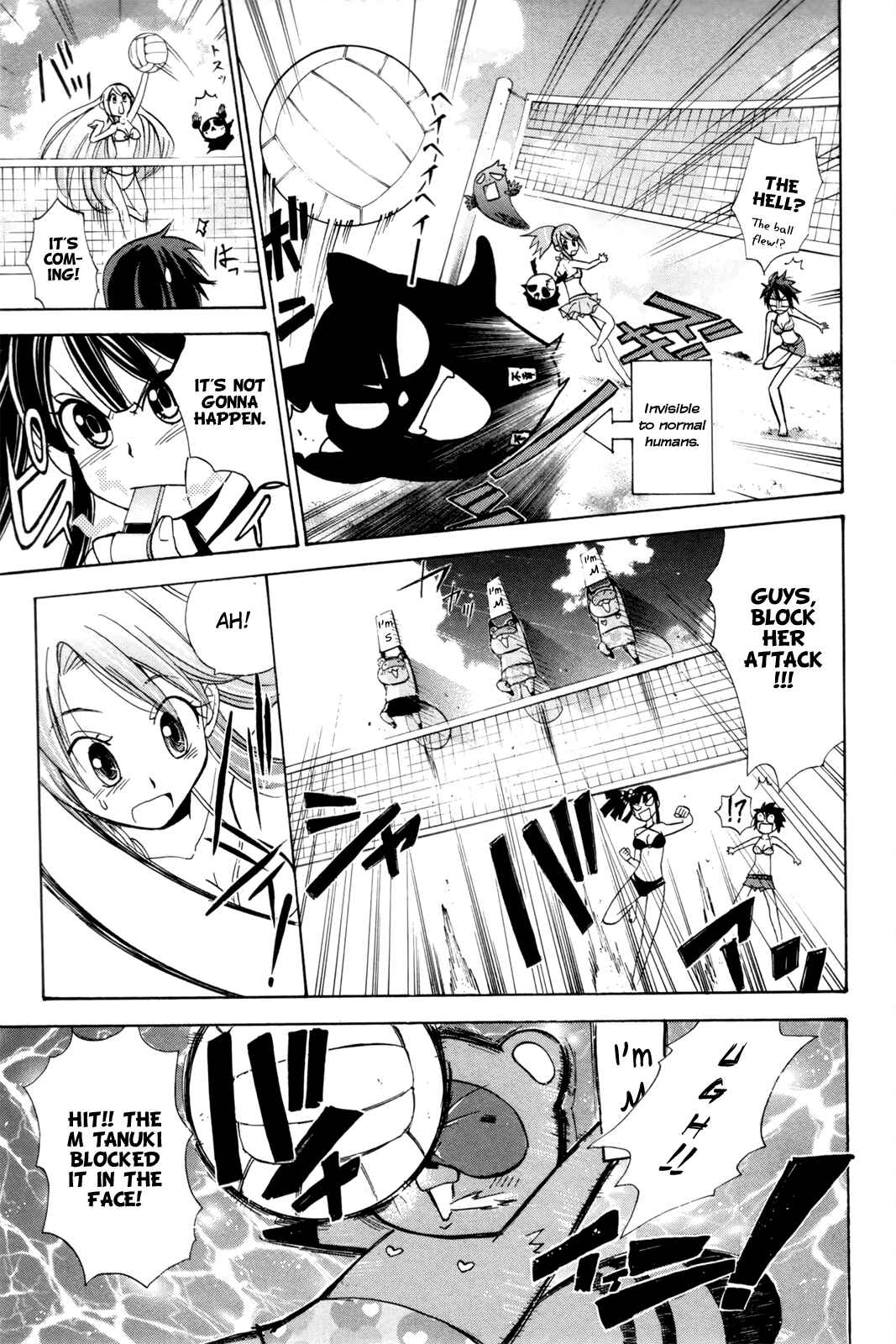 Page 16 Chapter 16 Foxs Wedding