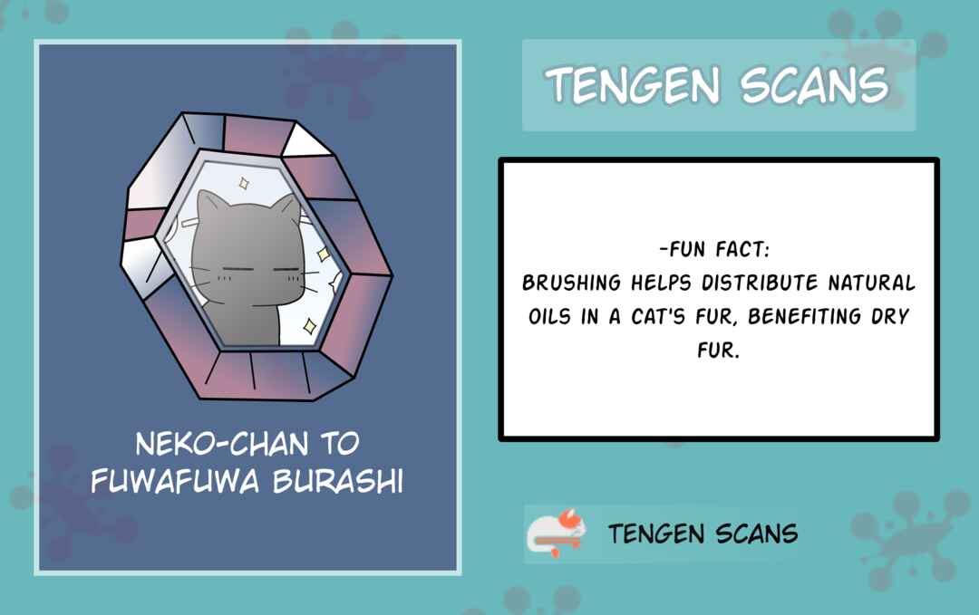 Page 2 Chapter 3 Neko-chan to Fuwafuwa Burashi
