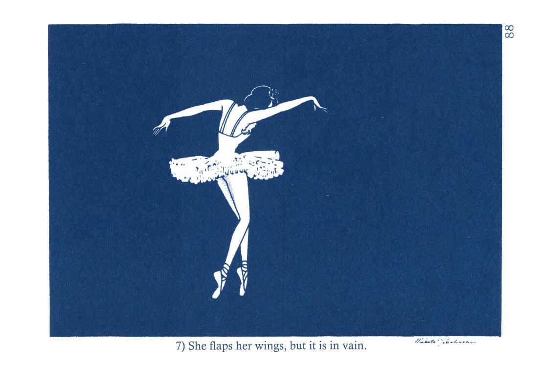 Page 24 Chapter 3 The Rows of Cherry Trees