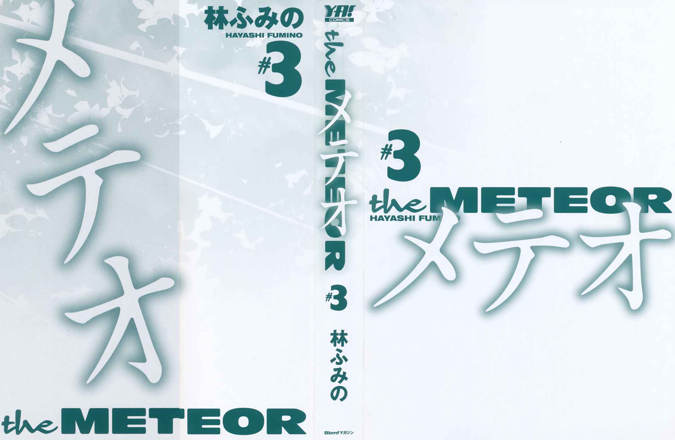 Page 2 Chapter 20 Meteor